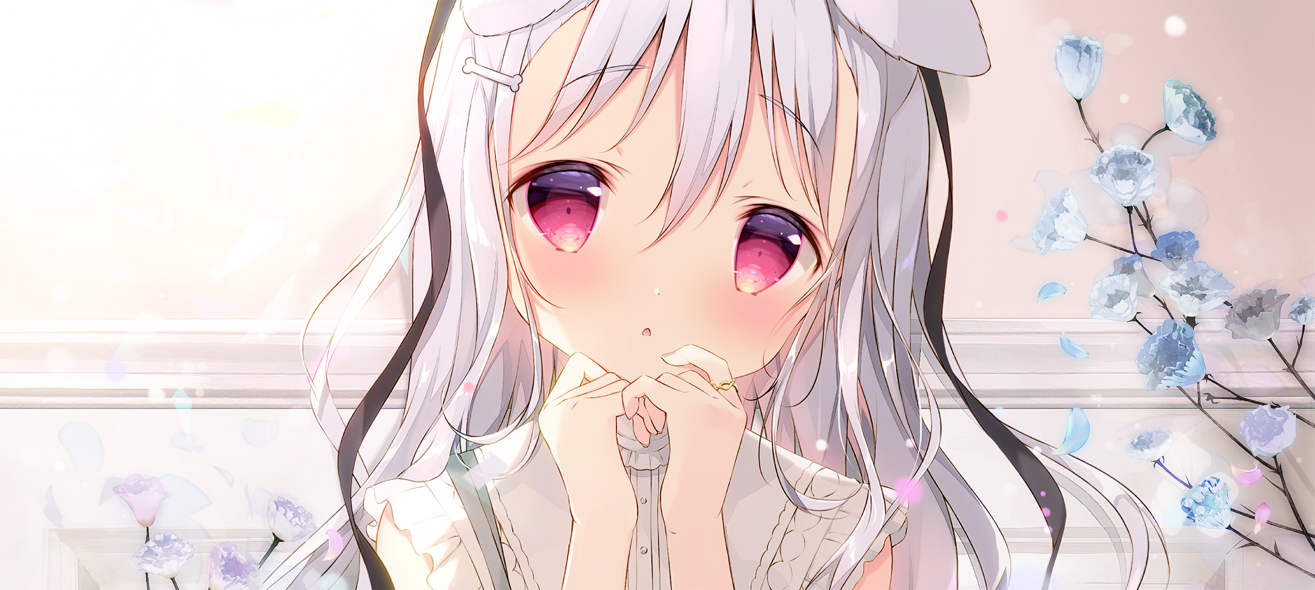 しらたま初個展「たまこてん」 | pixiv WAEN GALLERY