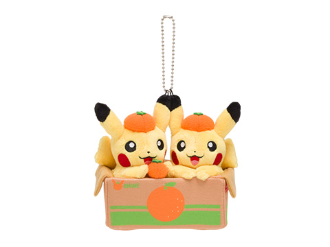 ピカチュウ、みかん箱に入る。ライチュウ＆ピチューと愛媛みかん