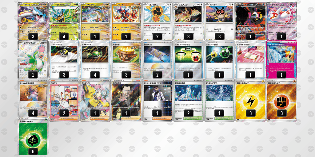 CL愛知準優勝 ロケット団の栄光環境【大空洞ライコポン】タケルライコ