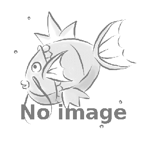 おしえテレビのおにいさん： ポケモンだいすきクラブ イベント応募者