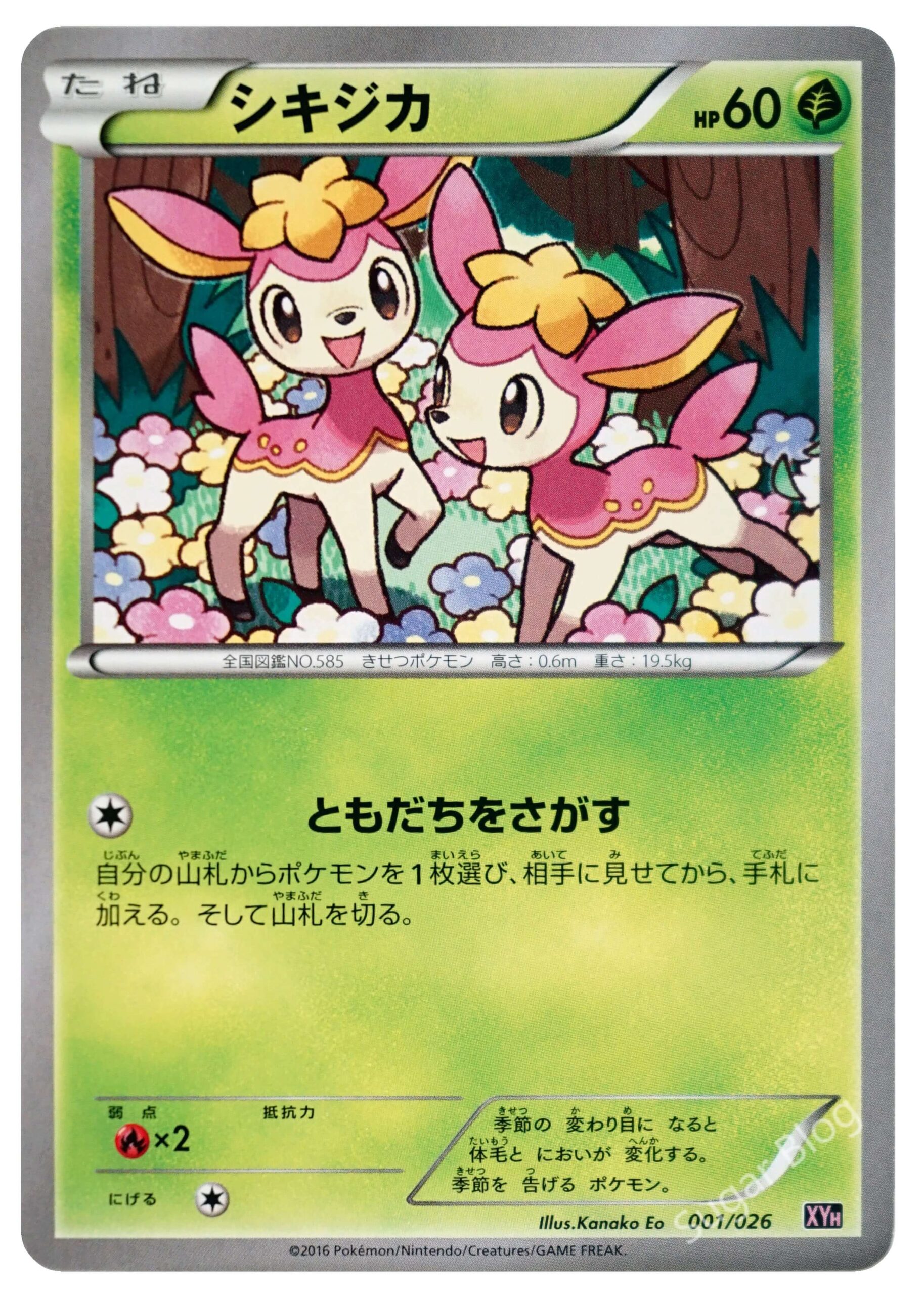 メガバトルデッキ60 MタブンネEX | ポケカボックス