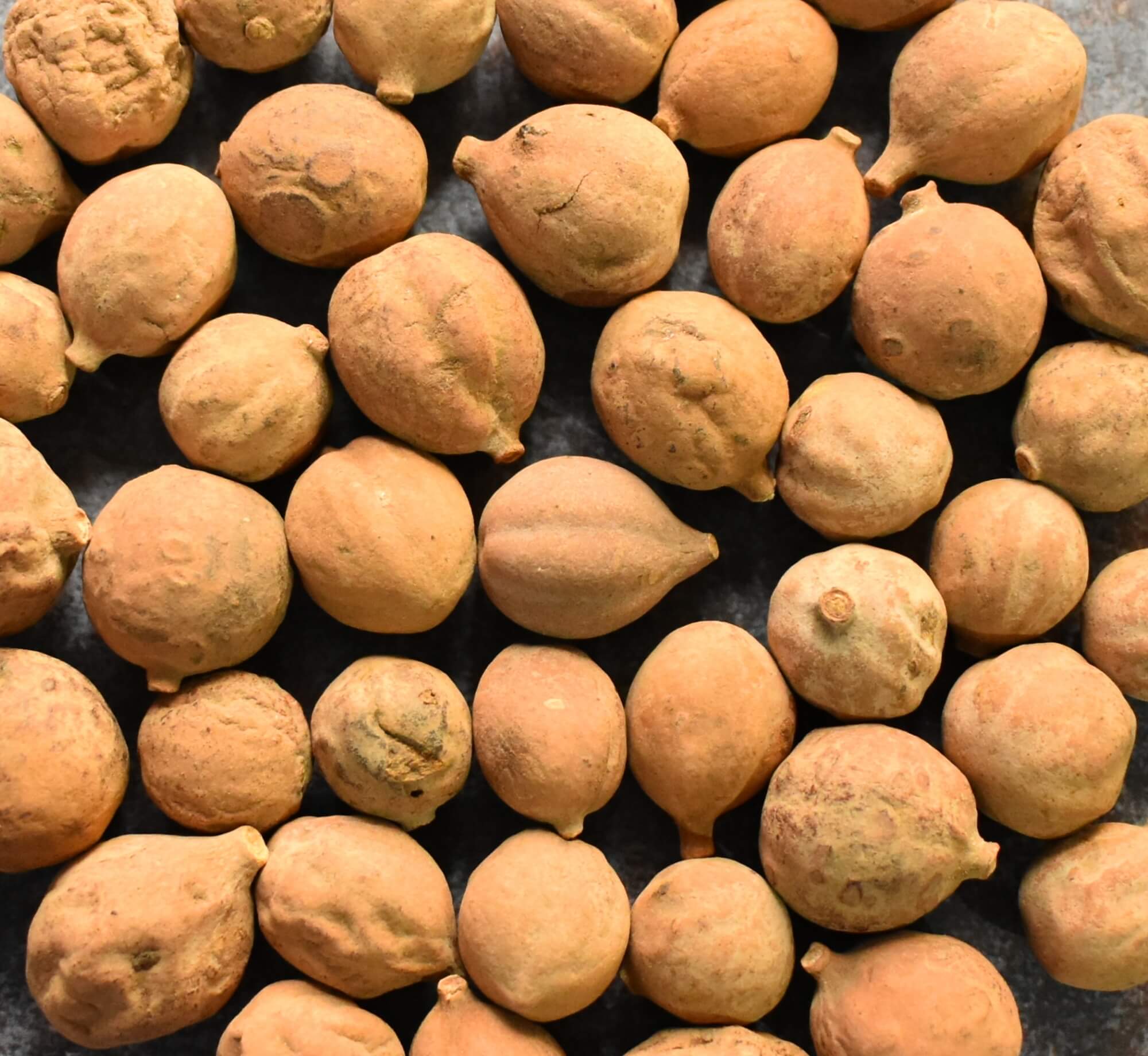 ポコスリム 120粒入/約30日分 – ポコスリム公式ショップ