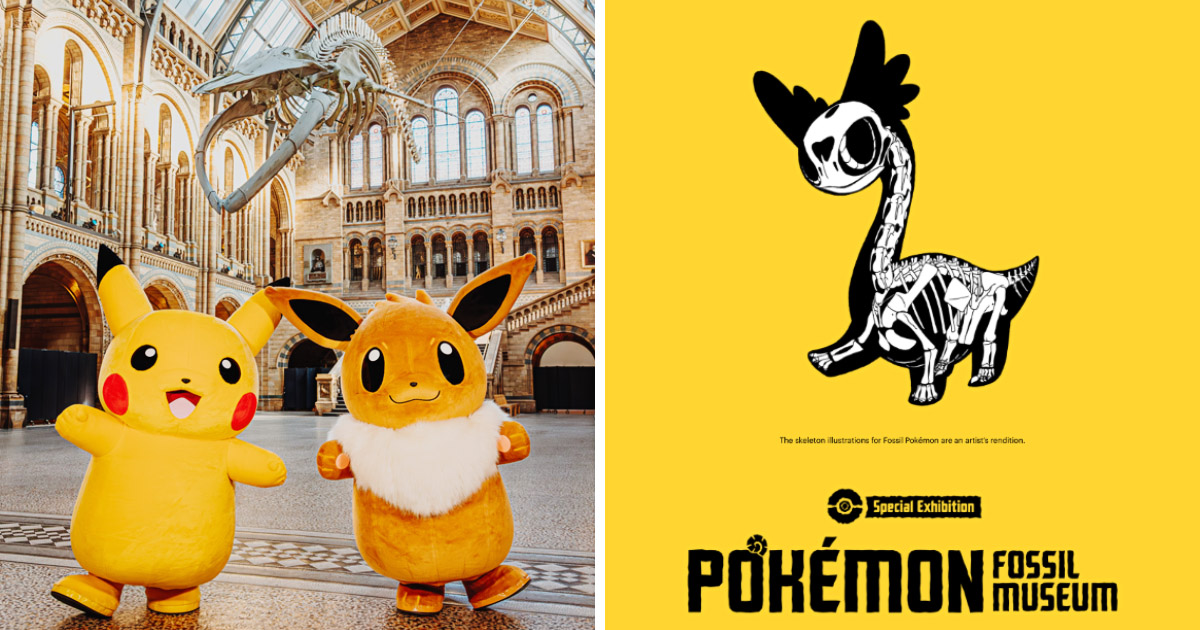 ポケモン ロンドン自然史博物館 イーブイ進化系バッジセット ポケモン