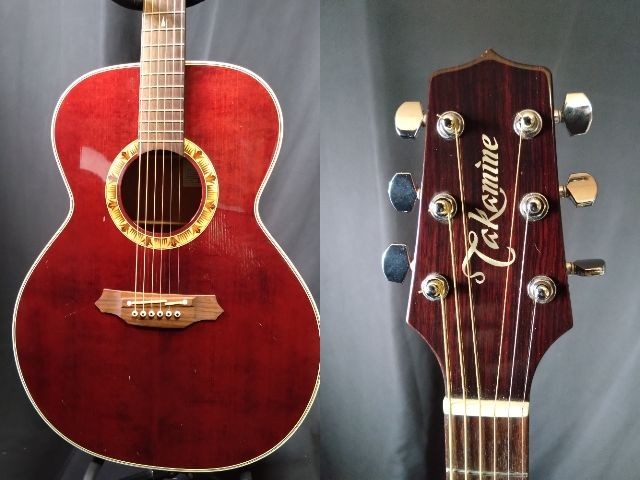 PT-507 Takamine - PoloPPo Guitar Visual Dictionary