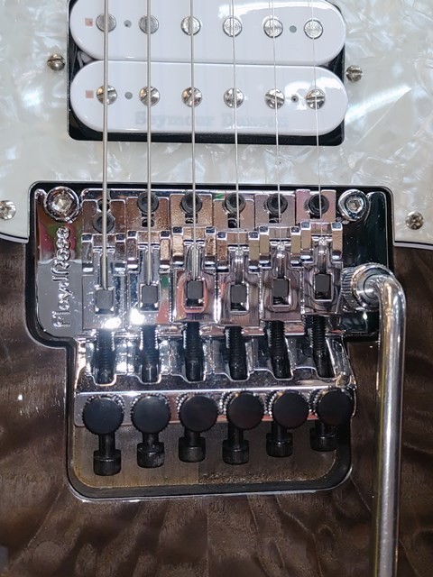 FRT-3搭載 追い剥に遭う率ナンバーワンのギター Fernandes FST-80