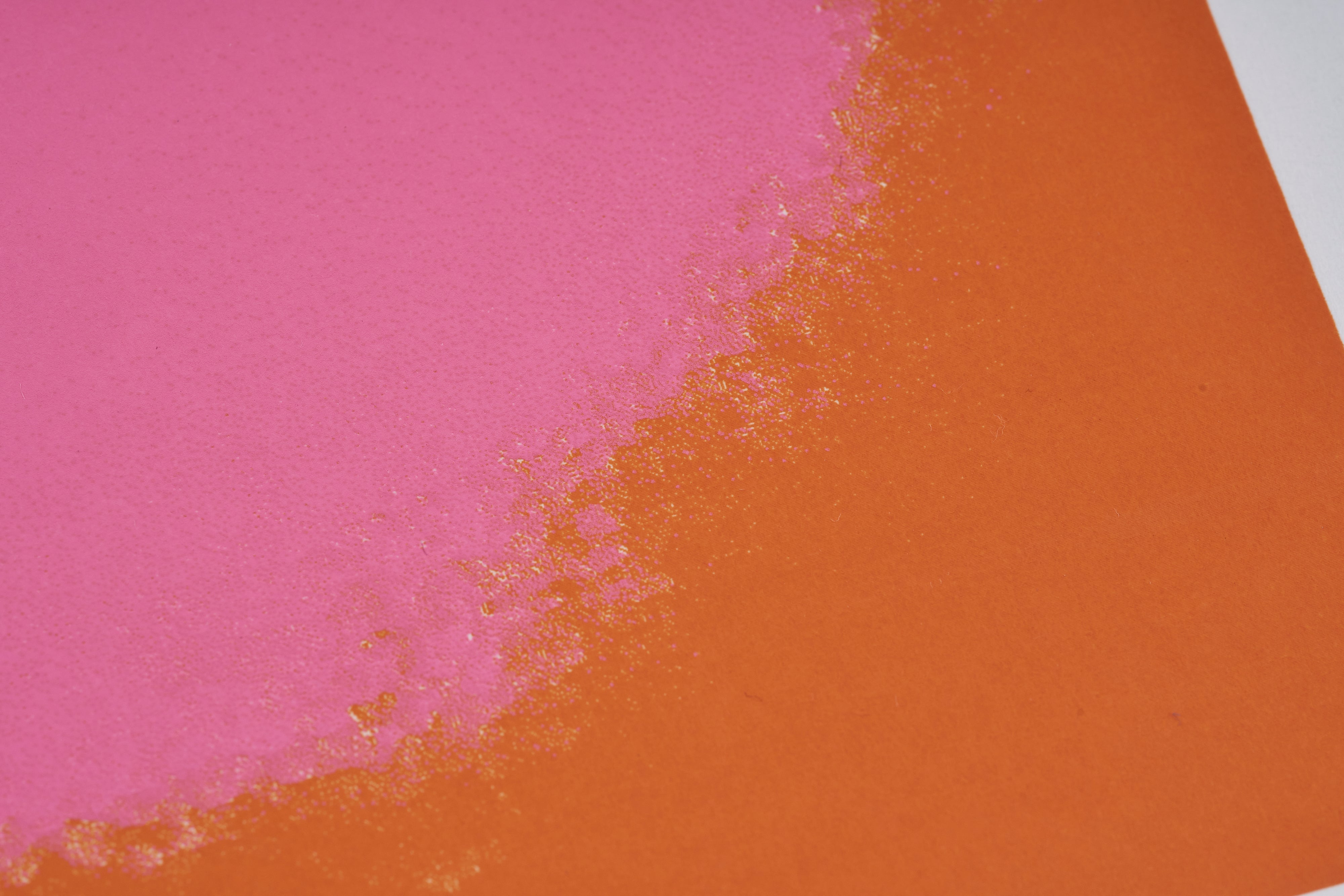 限定10枚】WHITE CENTER 1950 - BELGIQUE EDITIONS Pierre D'Harville