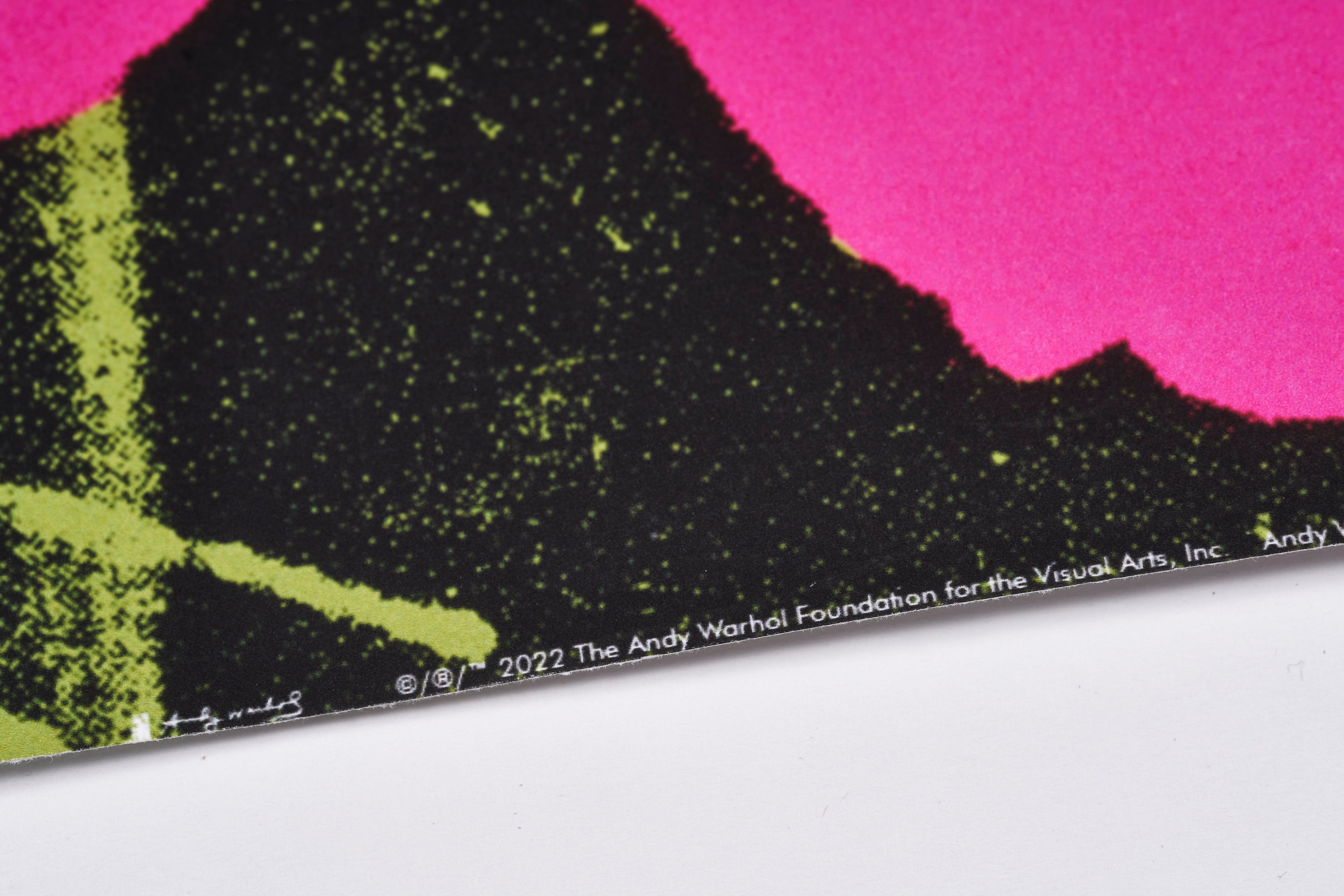 限定20枚】Flowers 1970 - McGAW GRAPHICS 2000s / アンディ