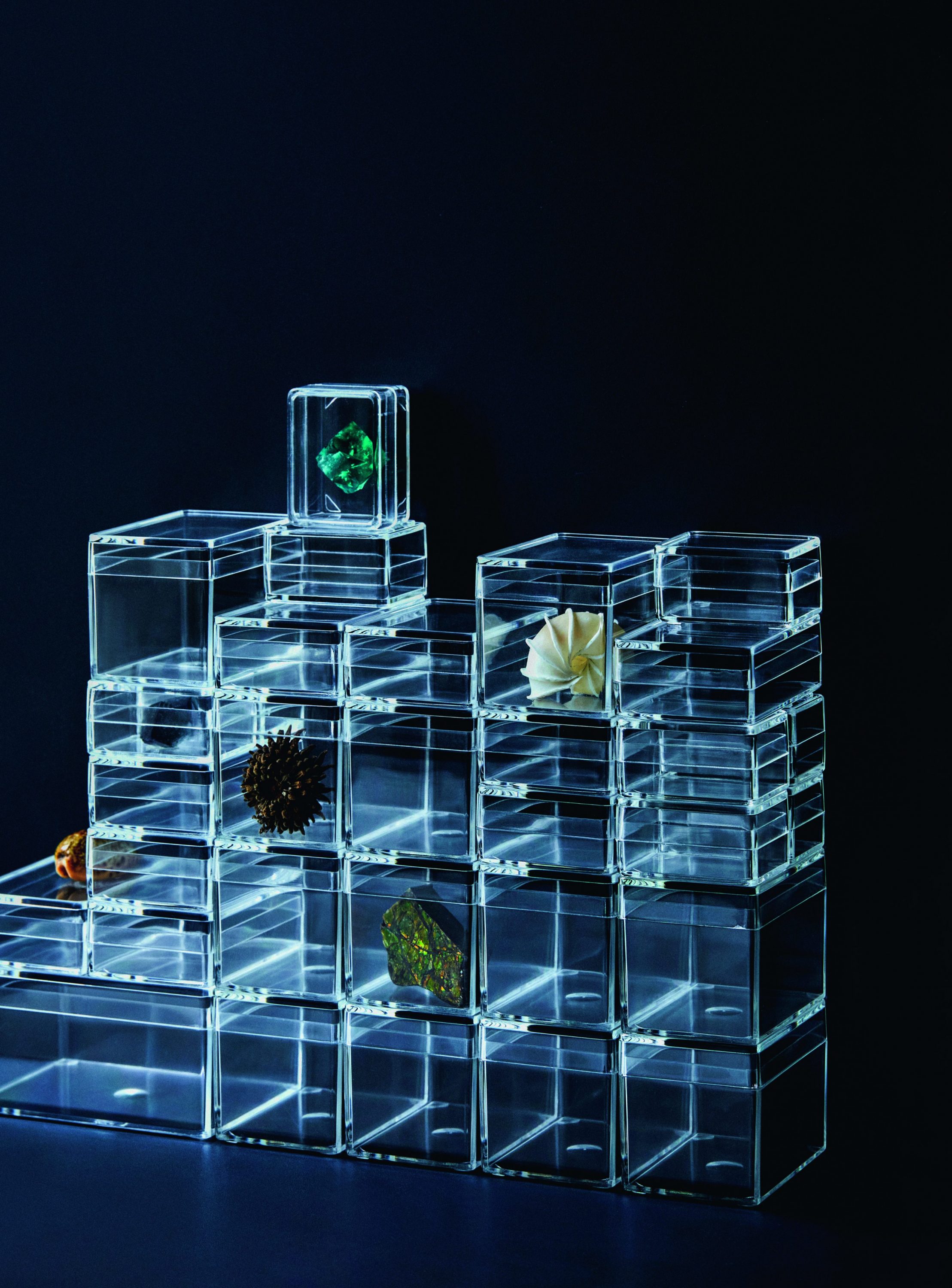 標本ケース／机の上のサイエンス。Vol.36 | POPEYE Web | ポパイウェブ