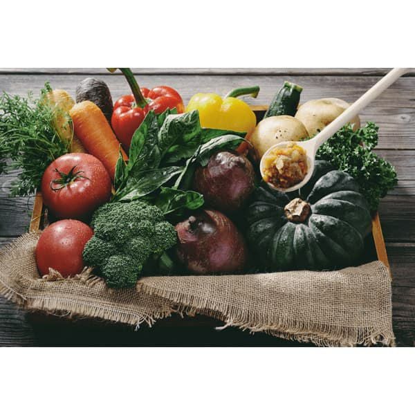 ピュアベジグルメ3色各4缶セット定期購入｜ジーベンデリカテッセン