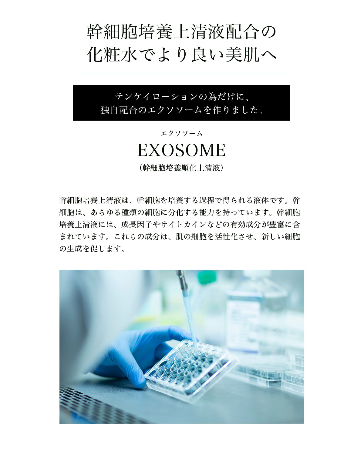 テンケイローション／天恵化粧水