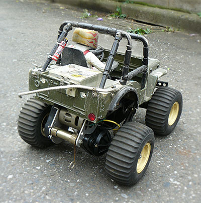 ぴーまん工房-ワイルドウイリスvol.1