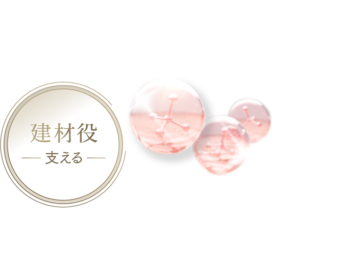 モリーズプロ エクソソームクリーム | 高機能エイジングケア