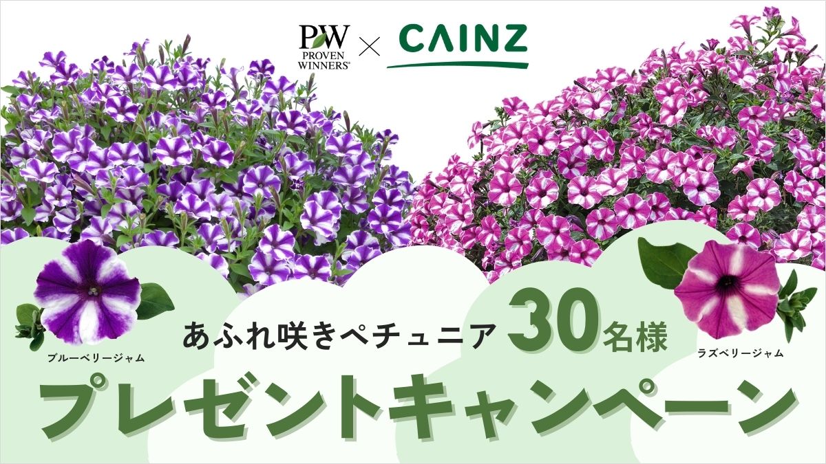 PW×CAINZ】2025年もあふれ咲きキャンペーン | PROVEN WINNERS (PW