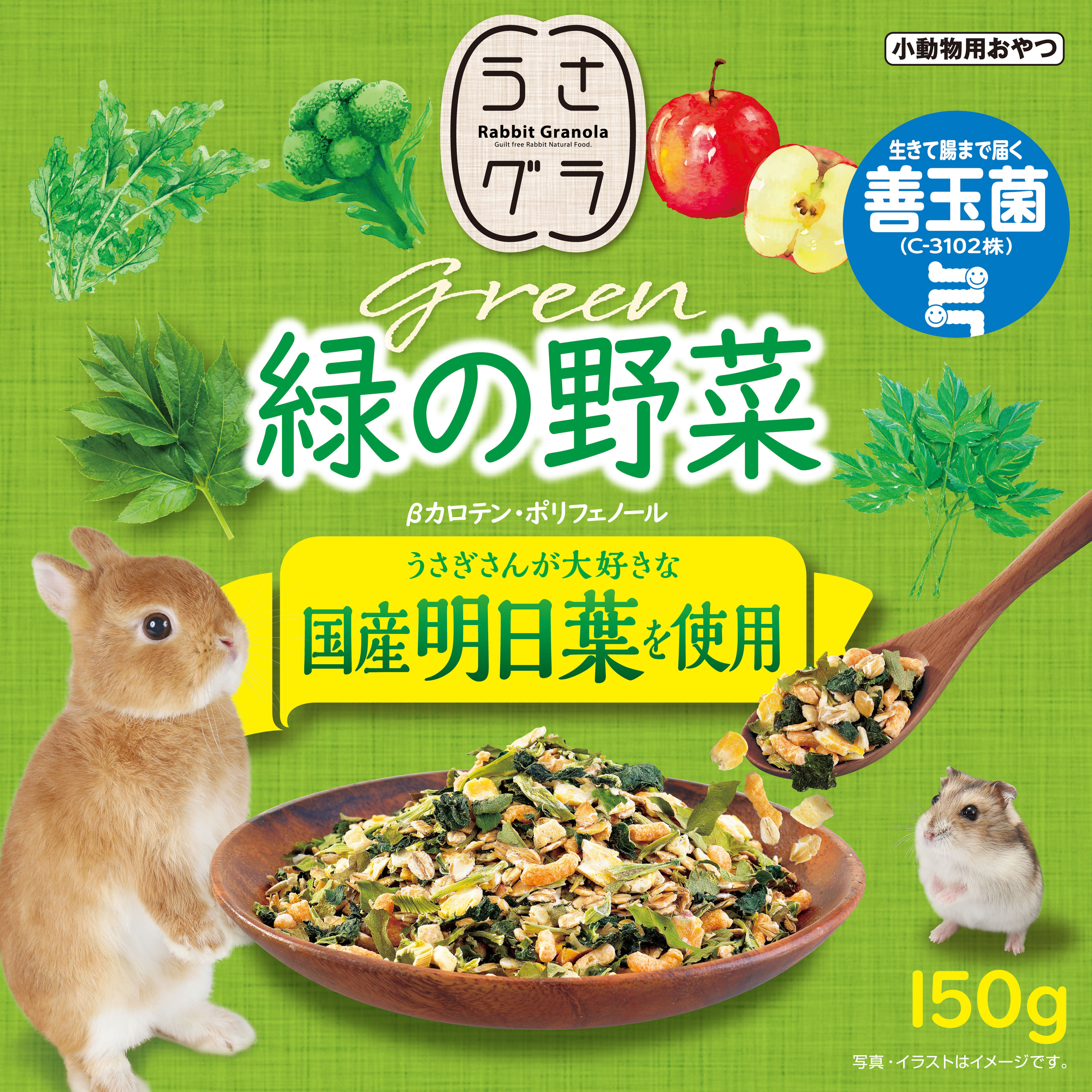 オビワン 旅するうさぎセットと野帳 緑 オビワン 旅するうさぎセットと