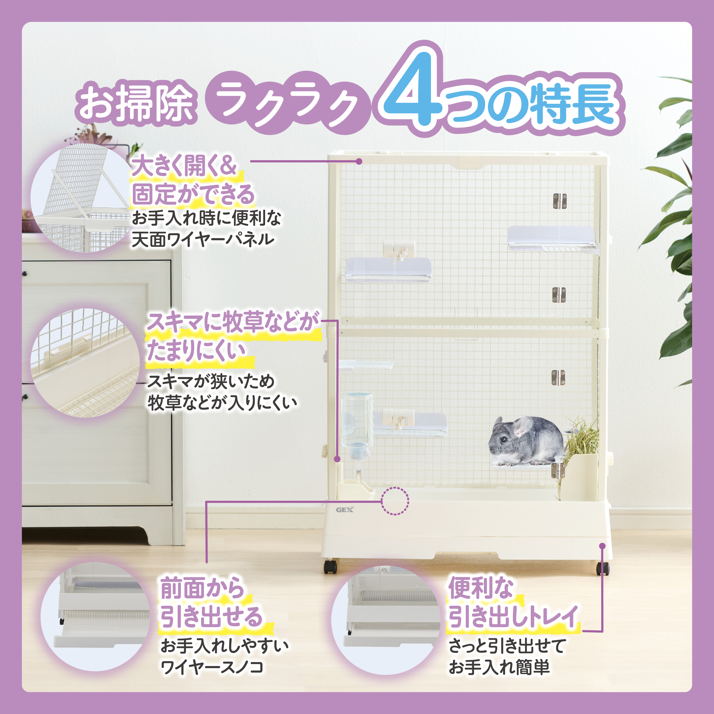 mydata_3124.jpg?1772621594