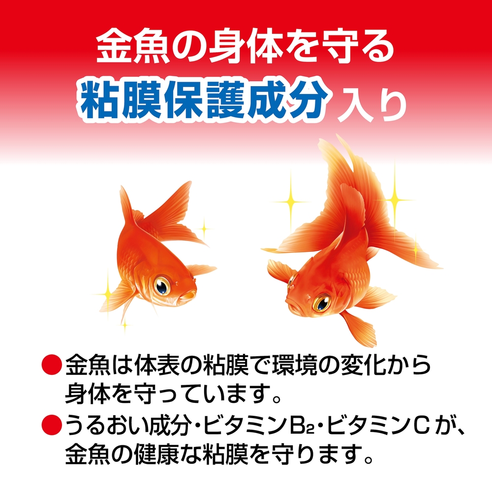 金魚元気 うるおう水づくり詰替用240mL | ジェックス株式会社