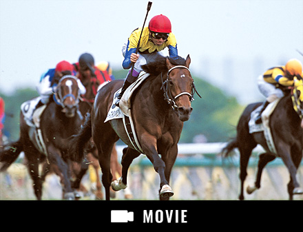 優駿×JRAレーシングビュアー 日本ダービープレビュー