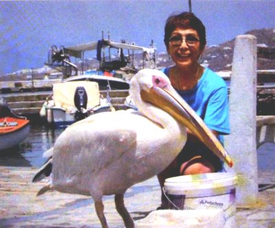 東郷たまみ追悼展