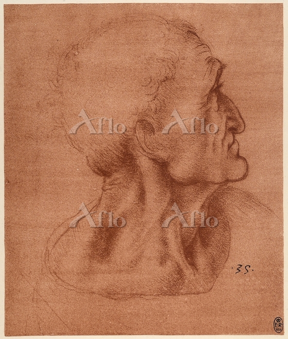 レオナルド・ダ・ヴィンチ 「ユダの顔の習作」 [20530577]のアート作品