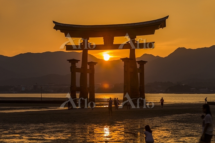 広島県 宮島厳島神社の大鳥居と夕日 [28150768]の写真素材 - アフロ