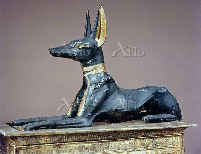 古代エジプトの神 アヌビス エジプト [79017]のアート作品 - アフロ
