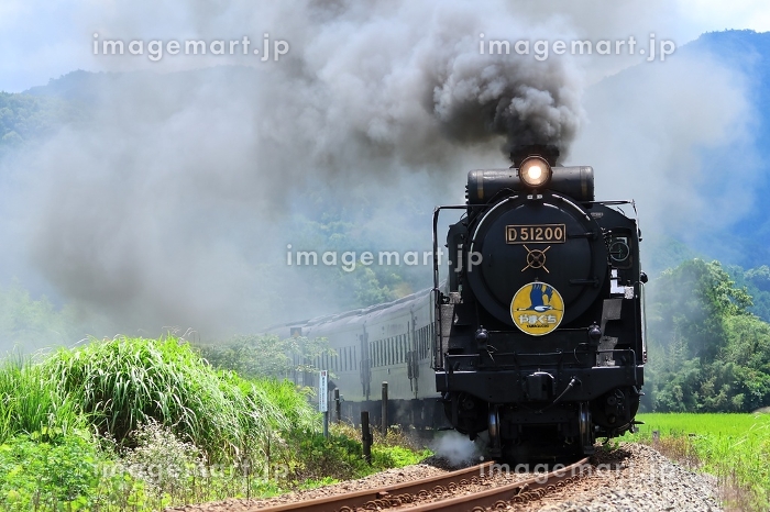 JR西日本】D51形＋35系「SLやまぐち号」（山口線：徳佐〜船平山）の