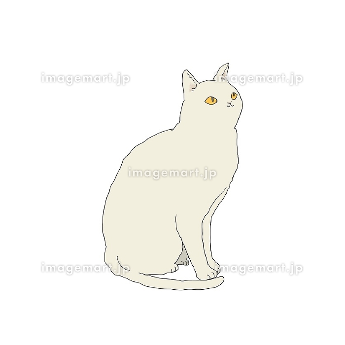 お座りをして上を見上げる白猫のイラスト [221819992]｜毎月1点無料
