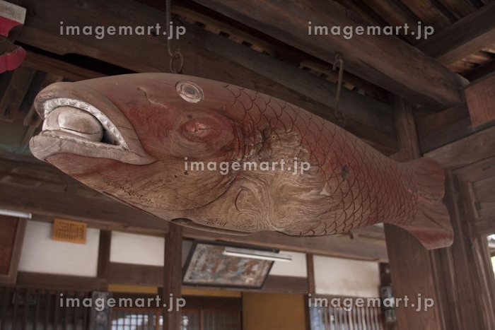 崇福寺の魚鼓（魚板）の写真素材 [24473431]｜毎月1点無料（フリー）の