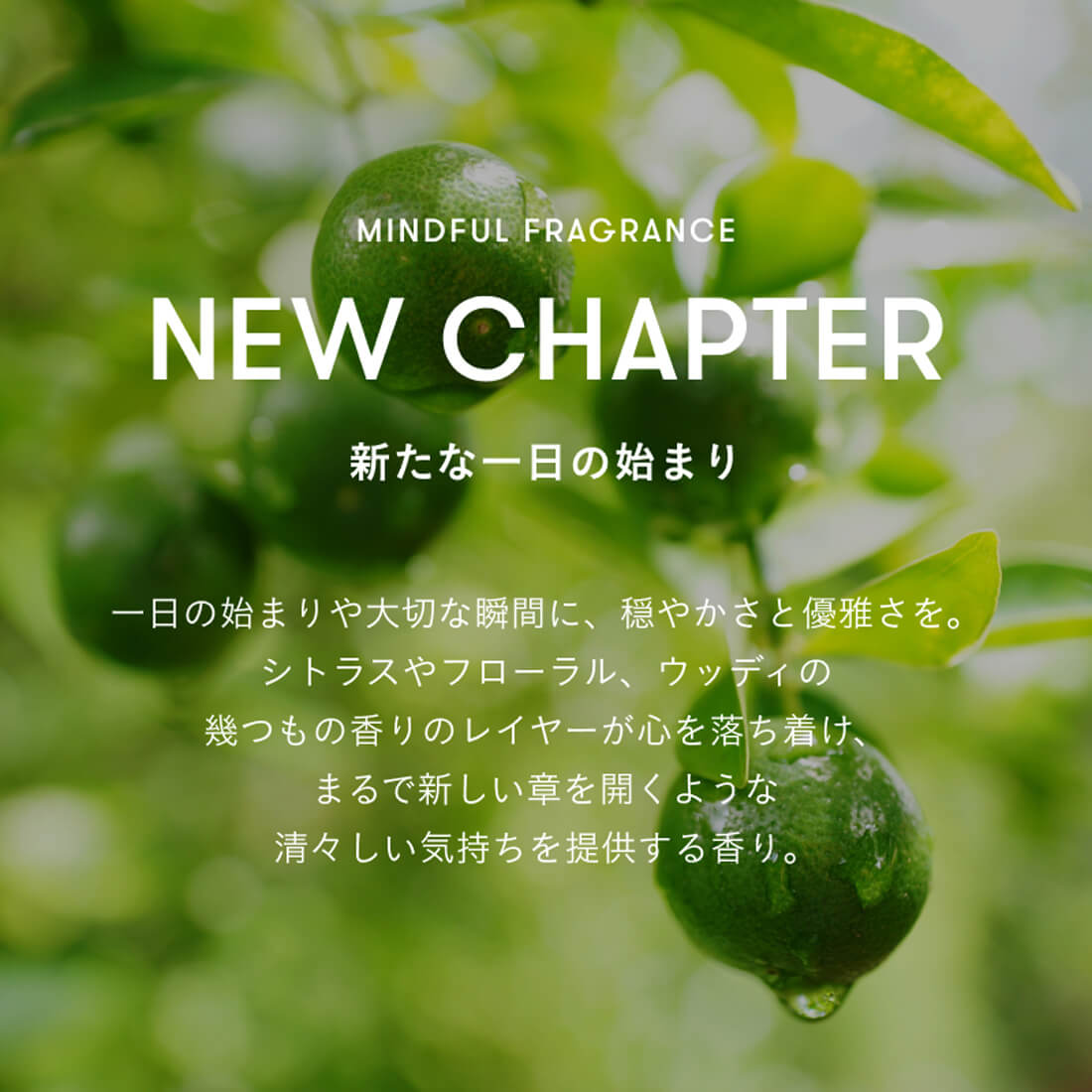 SINN PURETE マインドフル バス エクスペリエンス / NEW CHAPTER / RIO