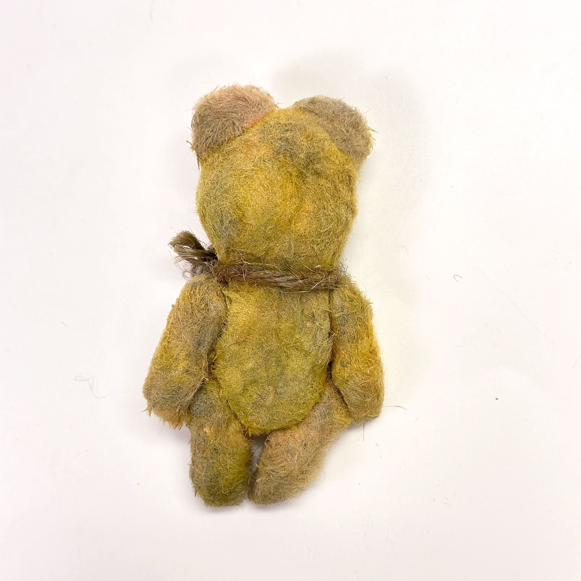 スペシャルイベント 加藤日砂さん&保科直人さんのBOX | プリメーラ株式会社