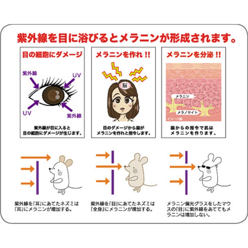 PSU333 メラニン偏光レンズ付きサングラス - Prince プリンステニス