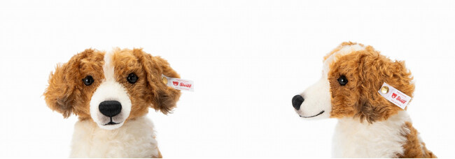 シュタイフ コーイケルホンディエ」日本限定2024体 発売決定｜不動産の