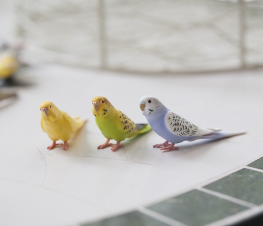 可愛い！小鳥ガチャガチャ「ことりカフェ表参道」に登場♪ | 株式会社