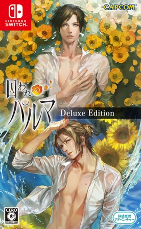 話題のガラス越しの体感恋愛アドベンチャー『囚われのパルマ』が