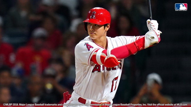米国MLB ロサンゼルス・エンゼルス大谷翔平選手の少年向け野球用具