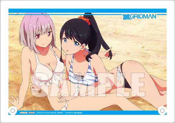 SSSS.GRIDMAN」宝多六花と新条アカネの『水着style 完成品フィギュア