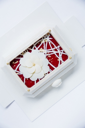 ベージュ アラン・デュカス 東京特製クリスマスケーキご予約開始のご