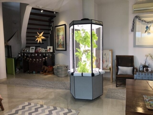 全自動家庭菜園キット「エアロスプリング(Aerospring)」がクラウド