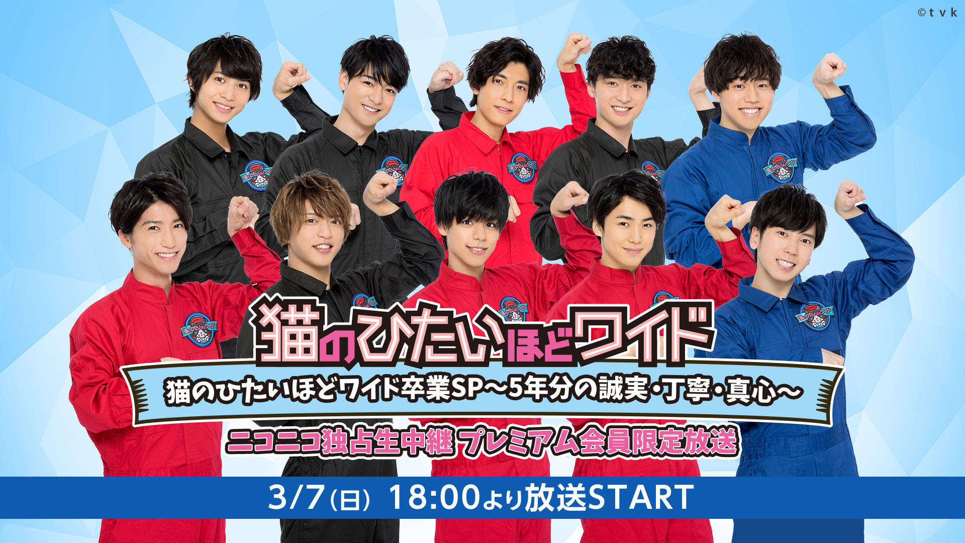 ニコニコ生放送】tvk(テレビ神奈川)発！「猫のひたいほどワイド