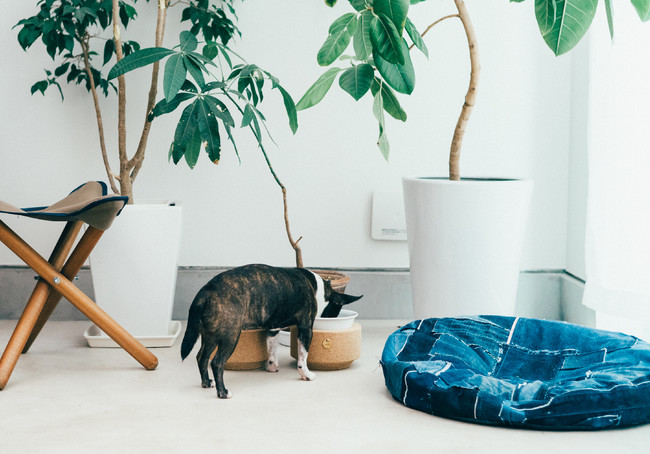 ワインのコルク栓を「再マテリアル」化し、再生素材が生み出す新常識