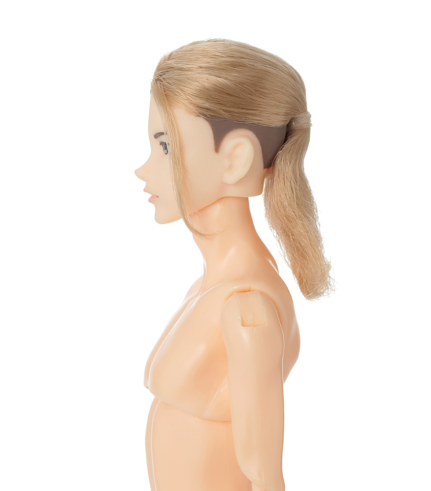 六分の一男子図鑑 ノームコア エイト - PetWORKs Store