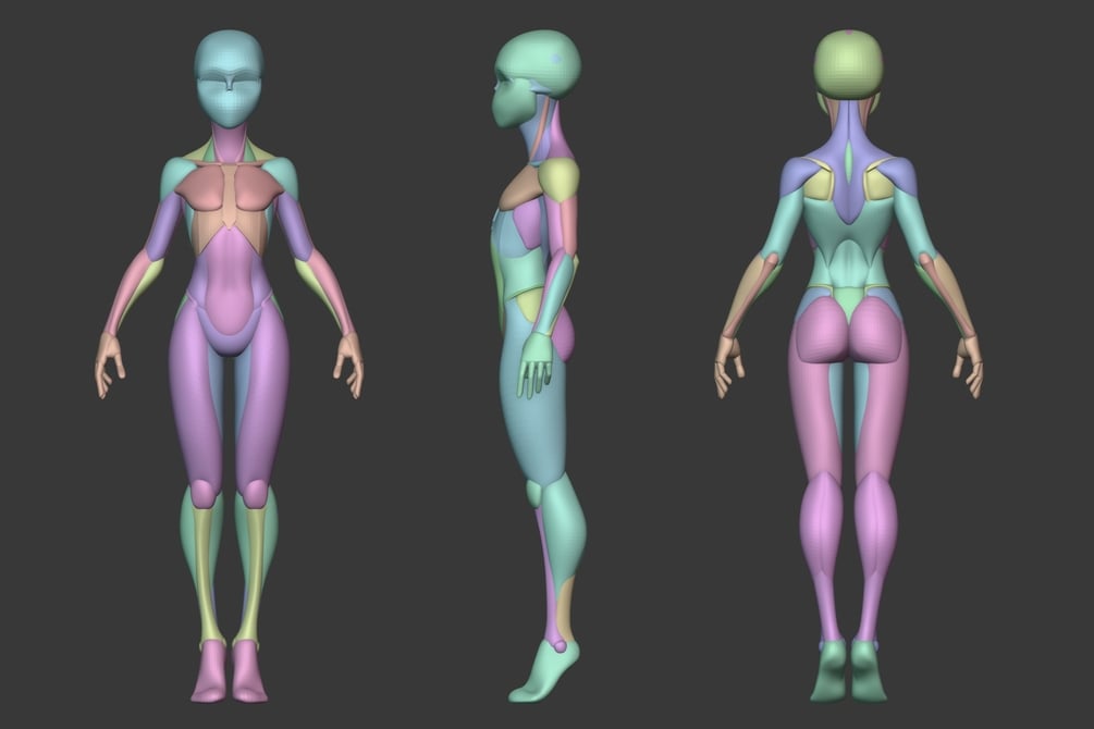 Stylized Female Anatomy
