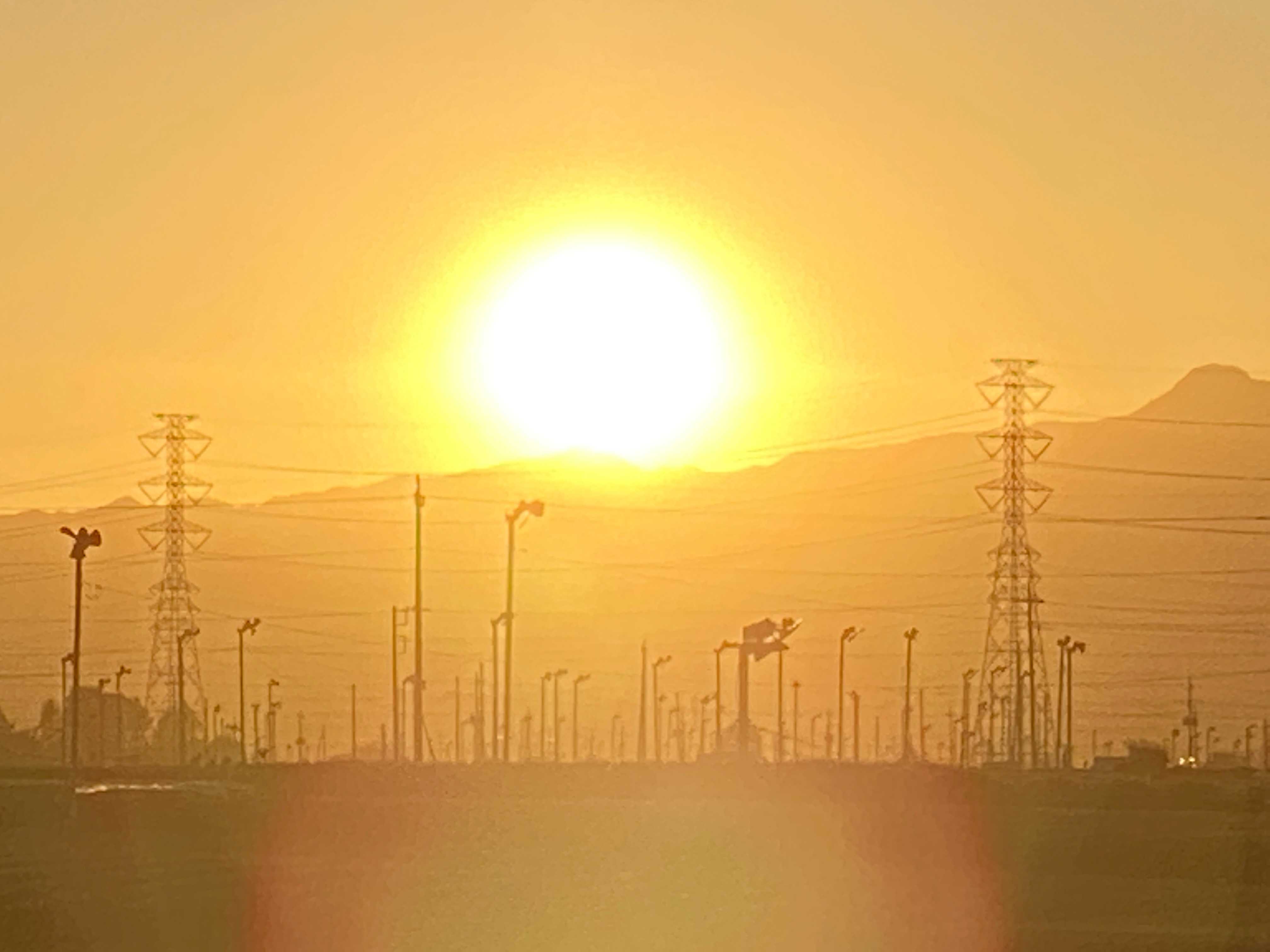 狭山茶どころ！入間の茶畑に沈む夕日の光明！！ - 村内伸弘のブログが