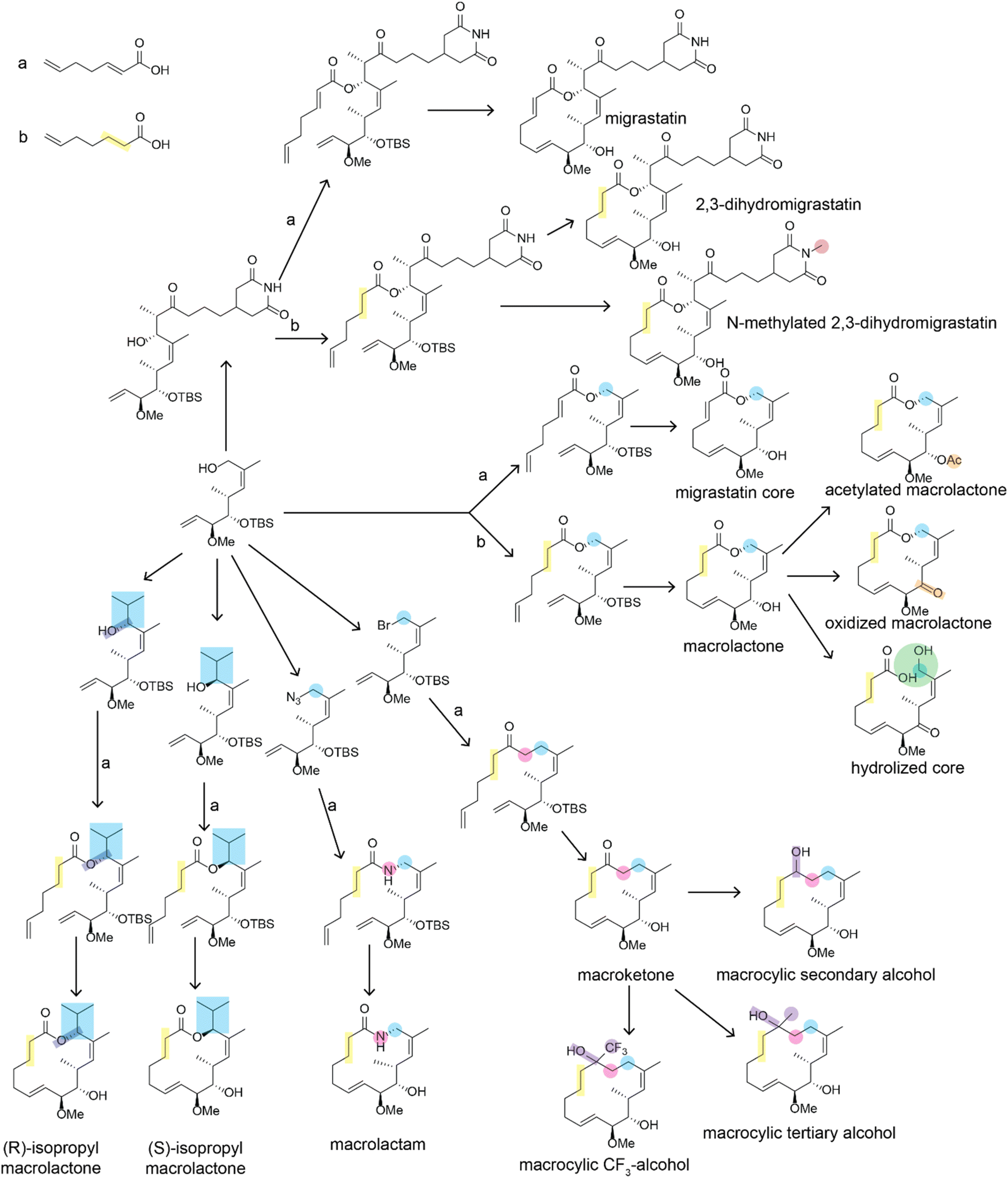 Advances, opportunities, and challenges in methods for