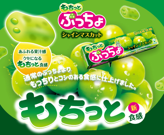 ぷっちょ【公式】ホームページ ぷっちょワールド - UHA味覚糖