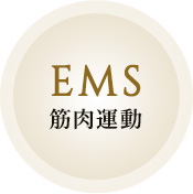 4D STYLE STINGER｜業務用エステ機器・化粧品の総合美容メーカー 株式