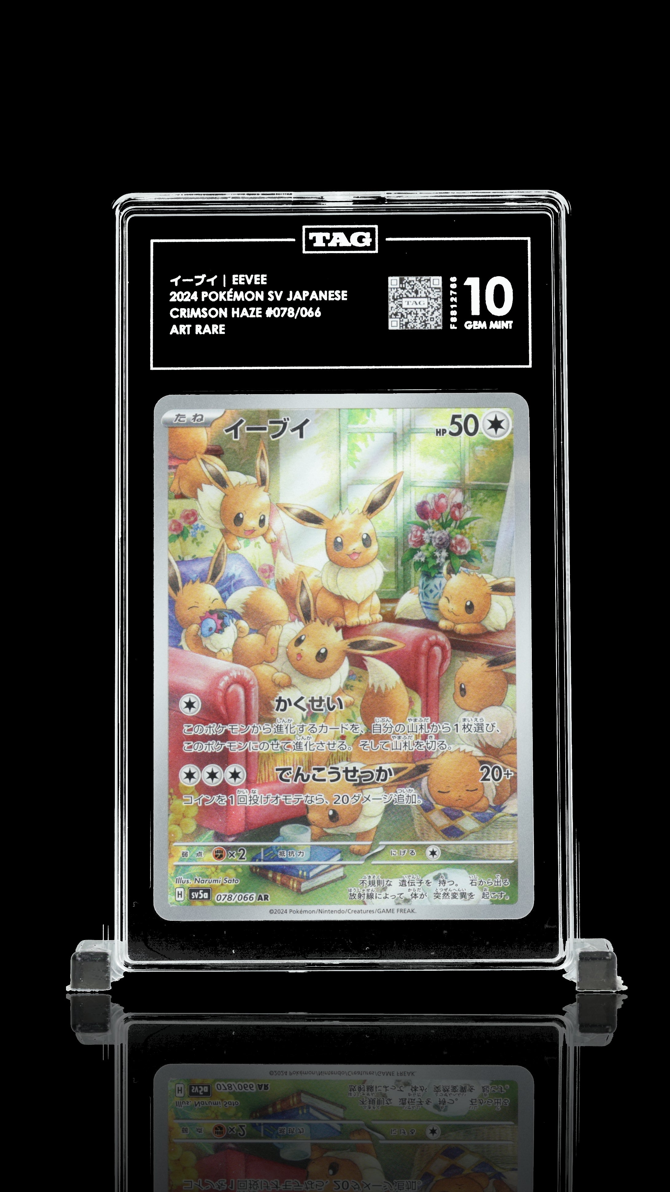 イーブイ Eevee 10 GEM MINT – Qd's cardshop