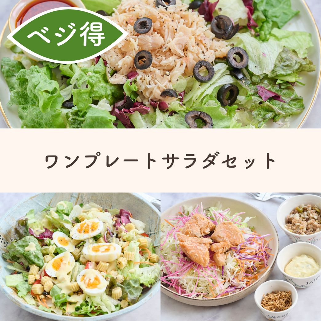 3食分】ランチにピッタリ！ひとり用サラダセット≪ひとり用サラダ