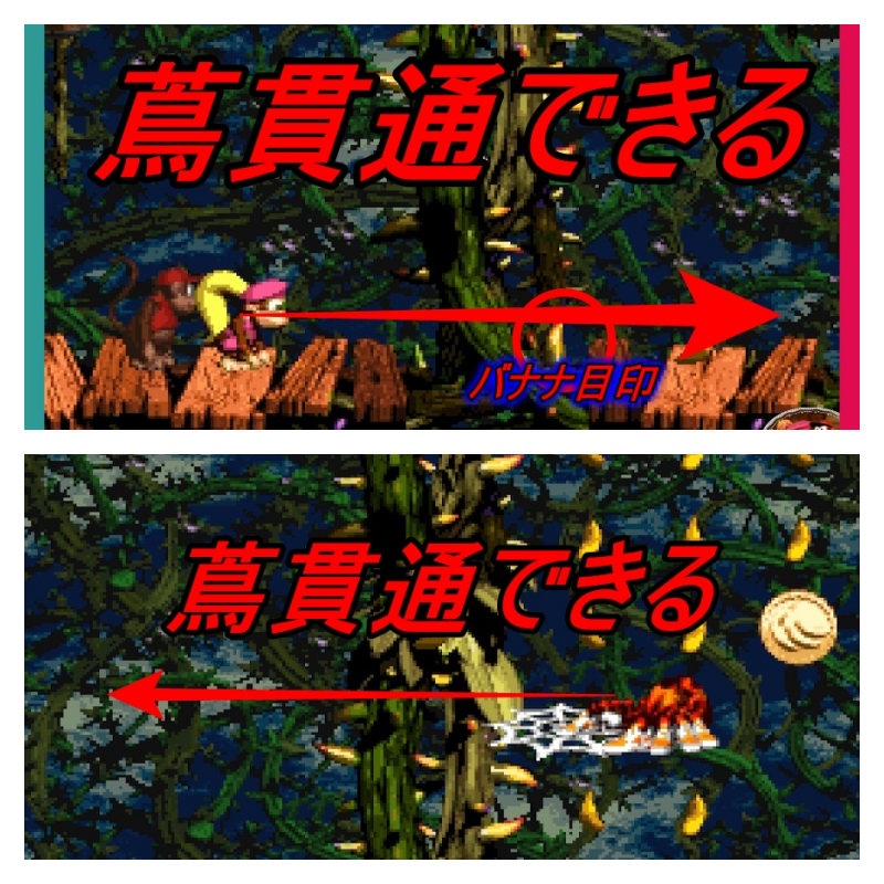クレムランド ドンキーコング2 ディクシー&ディディー ラージ 500