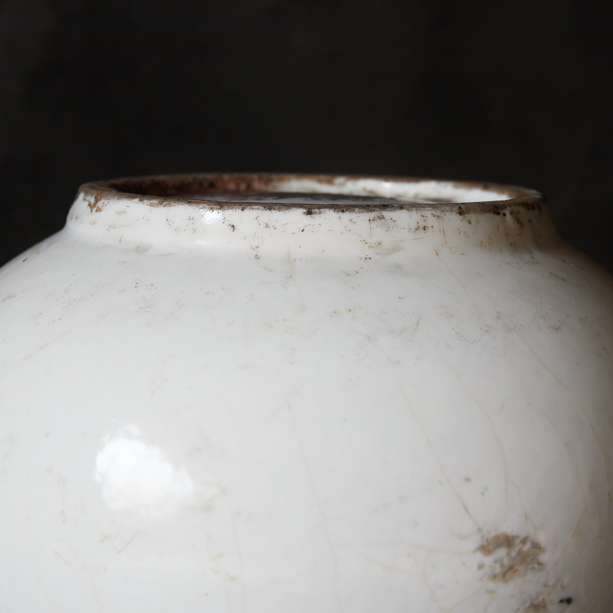 李朝 白磁丸壺（1392–1897CE） | 入蘆花（ロカニイル）